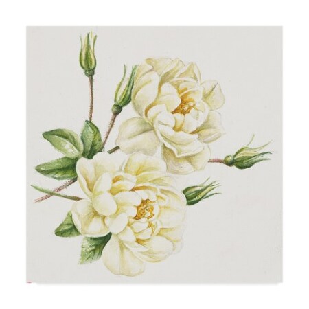 Janneke Brinkman-Salentijn 'Single Yellow Rose' Canvas Art,18x18